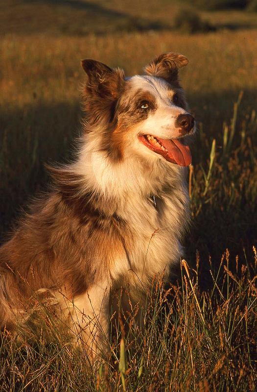 1995-05 White Salmon Jeanne and Steves Cabin 03.jpg